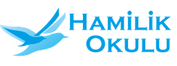 Hamilik Okulu